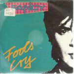 Fools Cry
