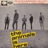 The Animals Is Here