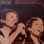 Wake Up Little Susie / Bridge Over Troubled Water