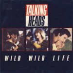 Wild Wild Life