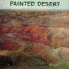 56581f566b5fd71a242688bffe81c5cf2700363b_0_0.jpeg Painted Desert
