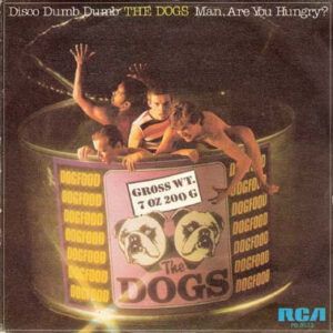 Disco Dumb Dumb
