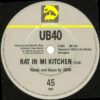 Rat In Mi Kitchen