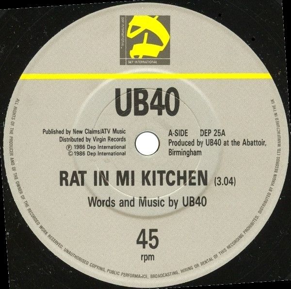 Rat In Mi Kitchen
