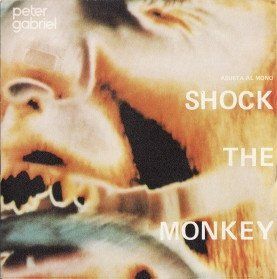 Shock The Monkey = Asusta al Mono