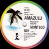 31a2d2e5682a10769a3a3a0ef93f8bf9f2630450_0_0-1.jpeg Montego Bay