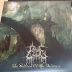 The Delirium of the Believers
