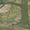 Yoko Ono / Plastic Ono Band