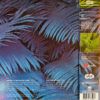82f6fef9ebe825510f317987ea6780320d87f88f_0_0-1.jpeg Epsilon In Malaysian Pale