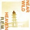Near Wild Heaven