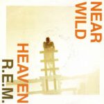 Near Wild Heaven