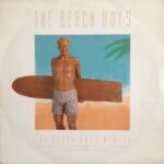 The Beach Boys Medley