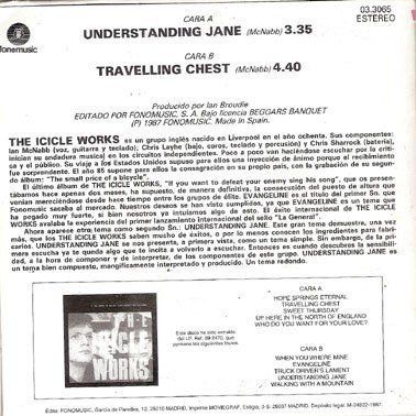 ca28cb7d7f3ef7747c57d0f4b874d88afc7e2b12_0_0.jpeg Understanding Jane