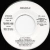 Excitable