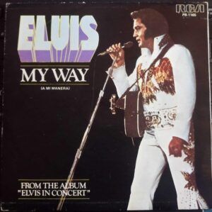 My Way = A Mi Manera
