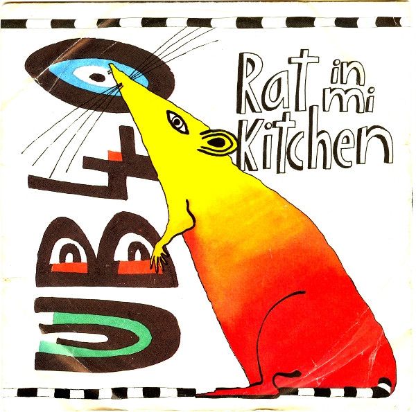 Rat In Mi Kitchen