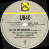 Rat In Mi Kitchen
