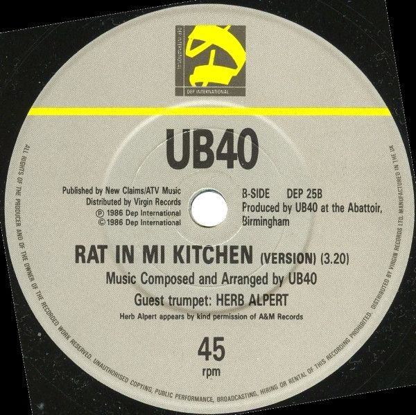 Rat In Mi Kitchen