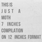 This Is Just A Moth 7 Inches Compilation On 12 Inches Format