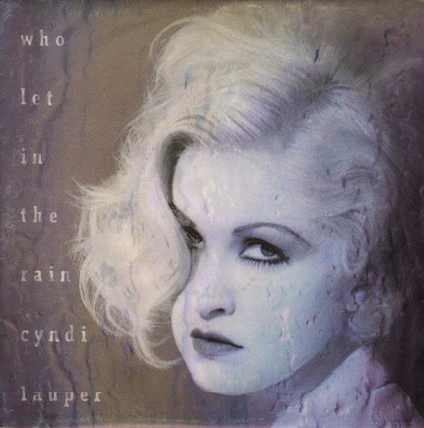 Who Let In The Rain
