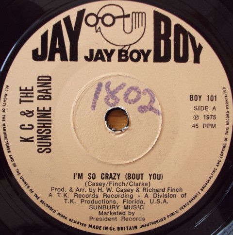 I'm So Crazy (Bout You)