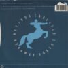 Runaway Horses
