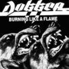 0ffff0018caf1a9f5f205219908e857a77fd70ff_0_0.jpeg Burning Like A Flame