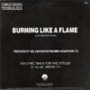 492284d5164429a01bb6fd77eb6e7d99cd7f1197_0_0.jpeg Burning Like A Flame