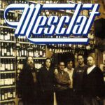 Mesclat