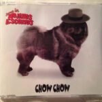 0e01671ed2e36a2991a86992d0943dea2476f87c_0_0.jpeg Chow Chow
