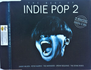 The Best Of Indie Pop 2