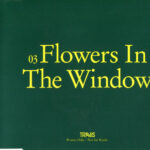 4013ff9061509bab9266956a6d401da1ba1deeab_0_0.jpeg Flowers In The Window