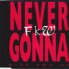 Never Gonna Give You Up