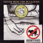 Never Mind The Bullocks