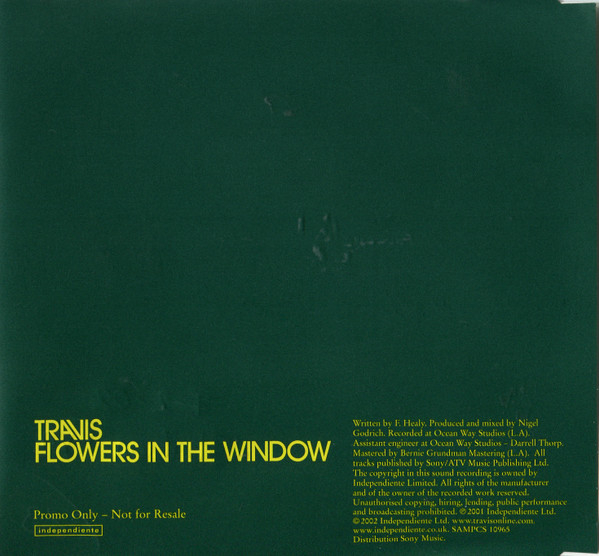 Flowers In The Window