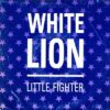 73ccf2b4a97857327c502ca95785892ac1c44fd3_0_0.jpeg Little Fighter