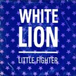73ccf2b4a97857327c502ca95785892ac1c44fd3_0_0.jpeg Little Fighter