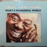 8a3861def474a81eeee5d362023036eda142e246_0_0.jpeg What A Wonderful World