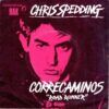 Correcaminos = Road Runner