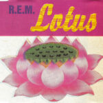 Lotus