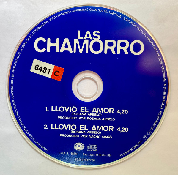 Llovió El Amor