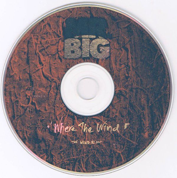Goin' Where The Wind Blows