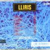 Lliris