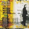 Muddy Water Blues (A Tribute To Muddy Waters)