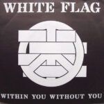 b0f0c3359c4026ed67a8fb7d1c6062bc93331a12_0_0.jpeg Within You Without You