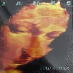 bd5cf456af21b73e0fb94584ba1c1ba4517dfbd6_0_0.jpeg Gold Mother