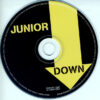 fe7fabe0c35eadcd22487aa0955423ce230c0963_0_0-1.jpeg Down