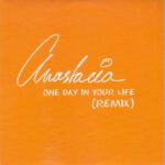 One Day In Your Life (Remix)