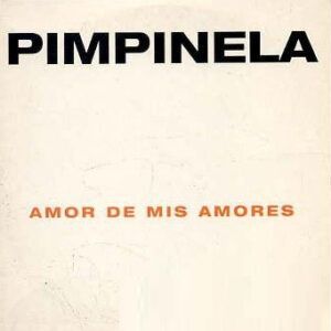Amor de Mis Amores