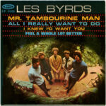 Mr. Tambourine Man